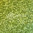 Grüne kleine Microdose Pellets mit 10µg 1S-LSD