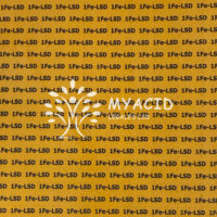 1Fe-LSD 200µg Blotter